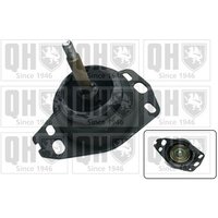 Quinton Hazell EM3143 Engine Mounting