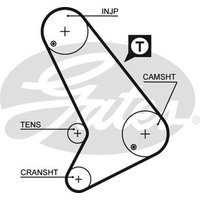 Gates 5572XS Timing Belt