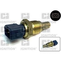 Ci Ignition XTT41 Temperature Transmitter