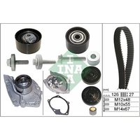 INA 530063830 Timing Belt Kit & Water Pump