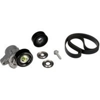 Gates K046PK2625 V-Ribbed Belt Set