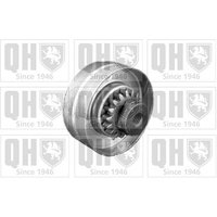 Quinton Hazell QTA214 Drive Belt Tensioner