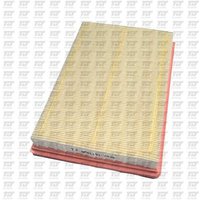 TJ QFA1191 Air Filter