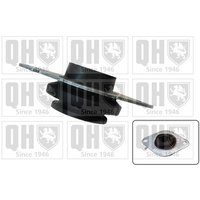 Quinton Hazell EM4302 Gearbox Mounting