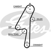 Gates 5580XS Timing Belt