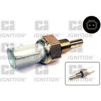 Ci Ignition XTT223 Multi Function Thermo Sensor