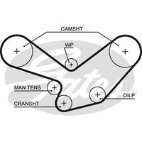 Gates 5096 Timing Belt