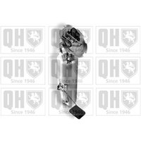 Quinton Hazell QFP841 Fuel Pump