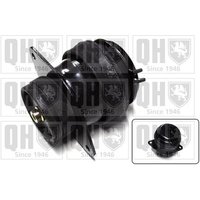 Quinton Hazell EM1890 Engine Mounting