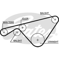 Gates 5463XS Timing Belt