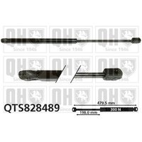Quinton Hazell QTS828489 Gas Spring
