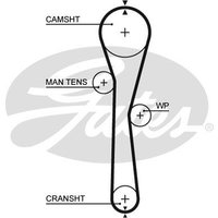 Gates 5577XS Timing Belt