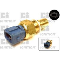 Ci Ignition XTT114 Temperature Transmitter
