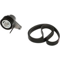 Gates K036PK1053 V-Ribbed Belt Set