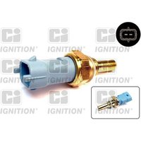 Ci Ignition XEMS80 Coolant Temperature Sensor