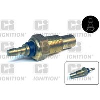 Ci Ignition XTT39 Temperature Transmitter