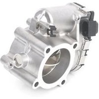 Bosch 0281002894 Throttle Body (RKLE1C)