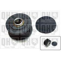Quinton Hazell QTR110 Free Wheel Clutch Pulley