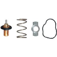 Gates TH51883G1 Thermostat