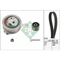 INA 530066510 Timing Belt Kit