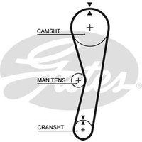 Gates 5024 Timing Belt