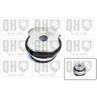 Quinton Hazell EM3083 Suspension Arm Bush