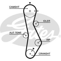 Gates 5579XS Timing Belt