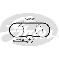 Gates 5516XS Timing Belt