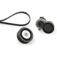 Gates K086PK1130 V-Ribbed Belt Set