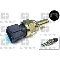Ci Ignition XTT89 Temperature Transmitter