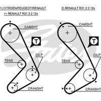 Gates 5059XS Timing Belt