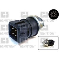 Ci Ignition XTT163 Temperature Transmitter