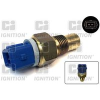 Ci Ignition XTTS23 Temperature Sensor