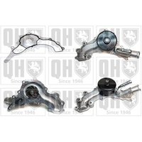 Quinton Hazell QCP3885 Water Pump