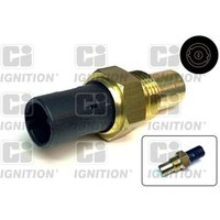 Ci Ignition XTS37 Temperature Sender