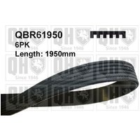 Quinton Hazell QBR61950 Drive Belt