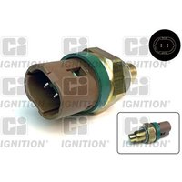 Ci Ignition XTTS20 Temperature Transmitter