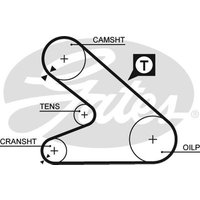 Gates 5054 Timing Belt