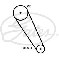 Gates 5698XS Timing Belt