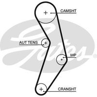 Gates 5503XS Timing Belt