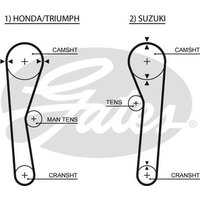 Gates 5019 Timing Belt