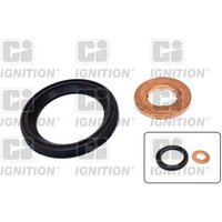 Ci Ignition XPSI162K Engine Injector Protector
