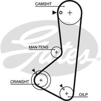 Gates 5256XS Timing Belt