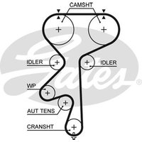 Gates 5542XS Timing Belt