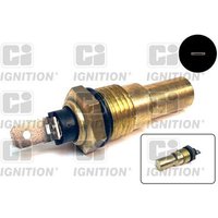 Ci Ignition XTT64 Temperature Transmitter