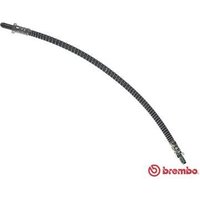 Brembo T52013 Brake Hose