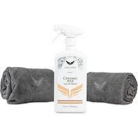 Car Gods Ceramic SiO2 Wax Bundle