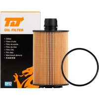 TJ QFL0429 Oil Filter