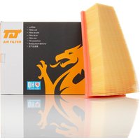 TJ QFA0010 Air Filter
