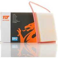 TJ QFA0296 Air Filter